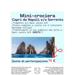 mini crociera Capri da...